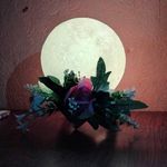 Lisbeth Hernández - @_lisbeth._.hernandez_ - Instagram