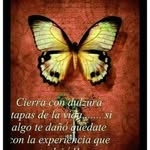 Lisbeth Rosales - @lisbethrosales8420 - Instagram