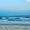 ℒ𝒾𝓈𝒷ℯ𝒽𝓉~ - @summerr497 - TikTok