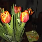 Lisbeth Wells - Facebook