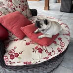 Lise Audet - Facebook