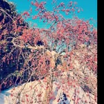 Lise Audet - @audet4478 - Instagram