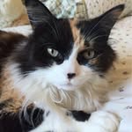 Lise Audet - @audetlise23 - Instagram