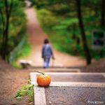 Lise Bouchard - @lison_bouchard53 - Instagram