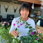 Lise Bouchard - @lise.bouchard.5477 - Instagram