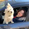 Lisa Boucher - @lisab61 - TikTok