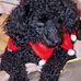 Lise Boucher - Facebook