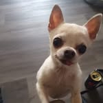 Lise Caron - @lisecaron506 - Instagram