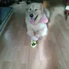Lise Caron - @lise.caron41 - TikTok