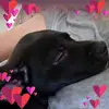 Lisa Devine - @lisadevine5 - TikTok