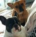 Lise Duval - Facebook