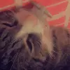 liseduval1 - @liseduval1 - TikTok