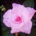 Lisette Bruno - Facebook