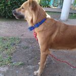 Rebeca lisette Escobar pinto - @rebecalisetteesc - Instagram