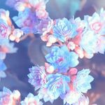 lisette💐 - @lisette_parraa - Instagram