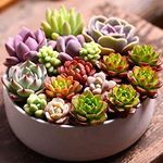Lisette Ramirez - @l_craftsngifts - Instagram