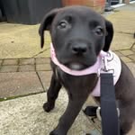 @lishasmith_1x - Instagram