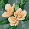 lissette cerda - @lissette.cerda5 - TikTok