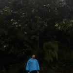 Lit Lee - @lee_lit - Instagram