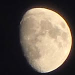 litlee - @_litlee__ - Instagram