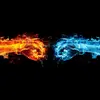 LIU LIN - @liu.lin365 - TikTok