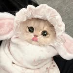 @liulinaaa9_______7 - Instagram