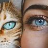 Alex Cahui - @livboeree963 - TikTok