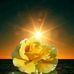 Liv Sun - Facebook