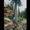 Liv Van Straten - @liv.vanstraten - TikTok