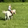 Alivia Conner265🐎 - @aliviaconner1 - TikTok