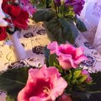 Livia Daniel - Facebook