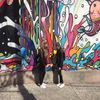 Liv Kramer - @oliviakramer__ - TikTok