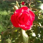 Livia Milano - Facebook