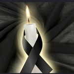 Livia Milano - @milano_livia - Instagram