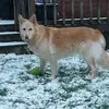 oliviamitchell - @oliviamitchell68 - TikTok