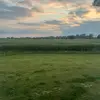 Liv - @olivia.sharp21 - TikTok