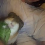 Livia Simpson - @liviasimpson34 - Instagram