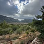 Livia Wallin - @wallin.livia - Instagram