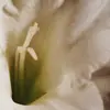 liv - @alivia.winter - TikTok