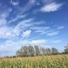 lixingchen12 - @lixingchen12 - TikTok