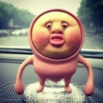 李星辰 - @lixingchen_ - Instagram