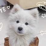 Liyan Zhang - @allyliyanz - Instagram