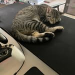Liyan Zhang - @g0l14th_ - Instagram