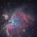 Liyan Zhang - @liyan.zhang.524 - Instagram