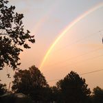 Liz Abrams - @baldingtou2 - Instagram