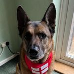 Liz Akers - @lizakers14 - Instagram