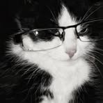 Liz Arcos - Facebook