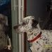 Liz Baer - Facebook