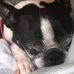Liz Baer - Facebook