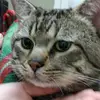 LIz Bedwell - @liz.bedwell - TikTok
